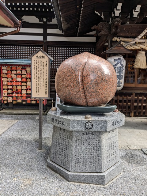 PXL_20230214_011342178