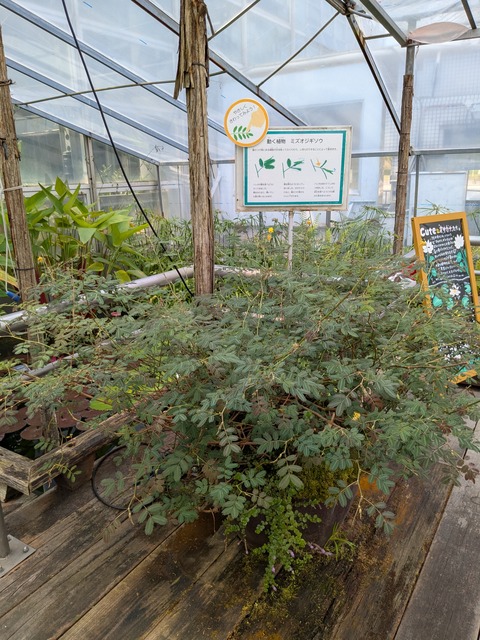 PXL_20250416_043024140