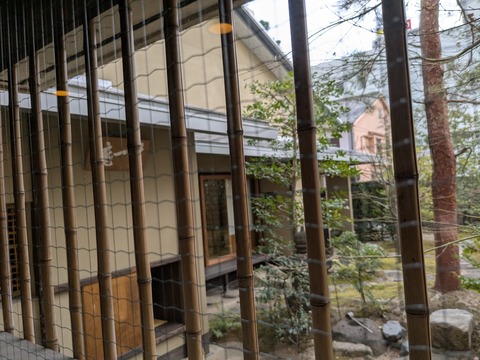 PXL_20250131_042017552