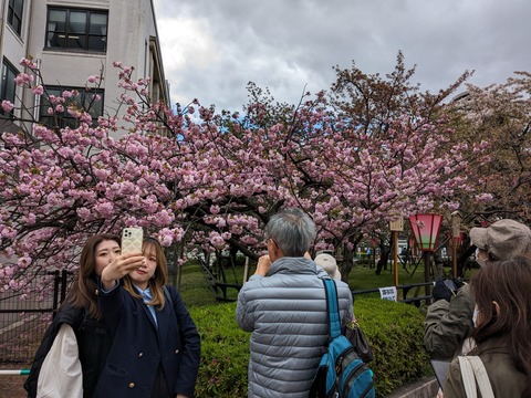 PXL_20240409_044602439.MP