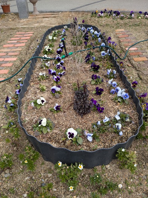 PXL_20250117_020052980