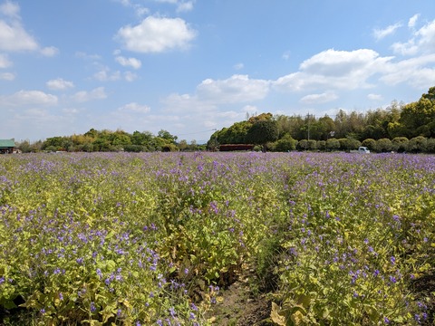 PXL_20230427_005402157