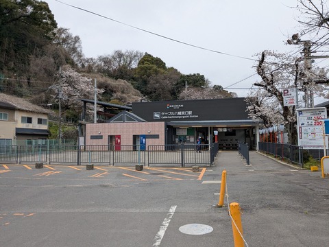 PXL_20250401_025346997