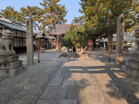 PXL_20250131_012110626