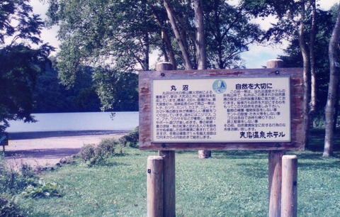 img494