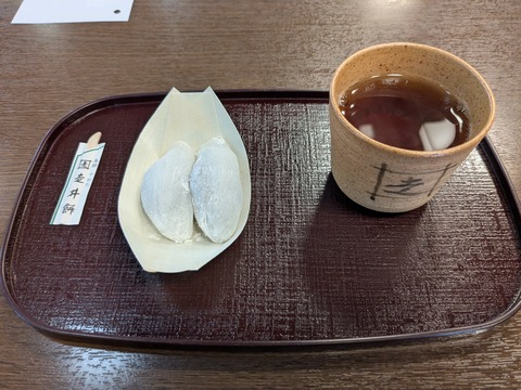 PXL_20250401_041259358.MP