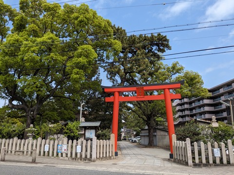 PXL_20240416_043944813