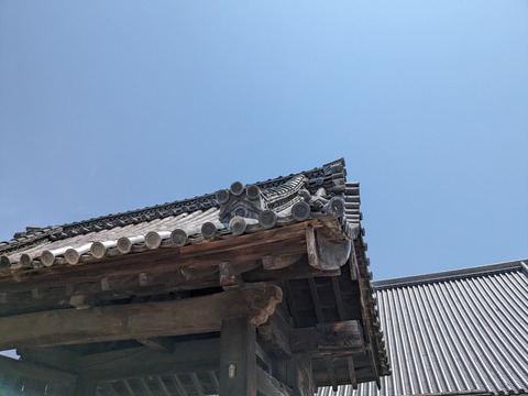 PXL_20240526_023558782