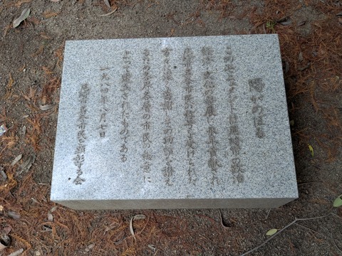 PXL_20251021_055500879