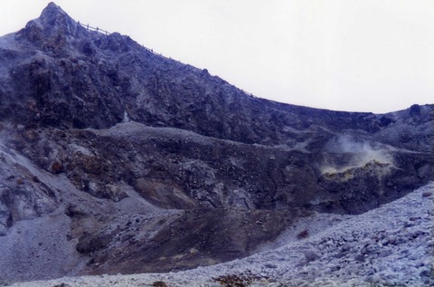 img795
