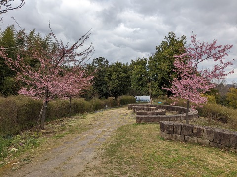 PXL_20240226_025237973