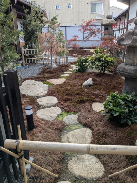 PXL_20250131_053820315