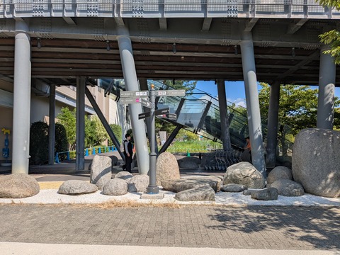 PXL_20250916_004132595