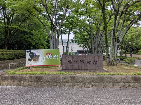 PXL_20260609_032457307