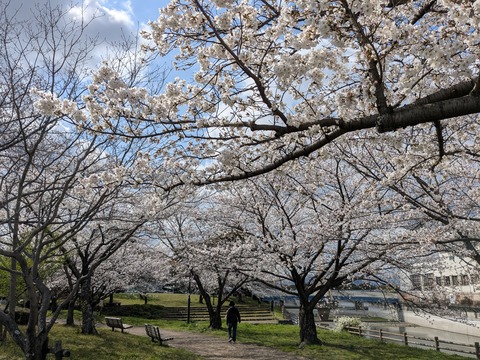 PXL_20250403_003840445