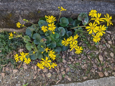 PXL_20231115_034455606