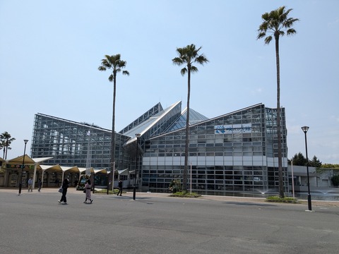 PXL_20250416_041656432.MP