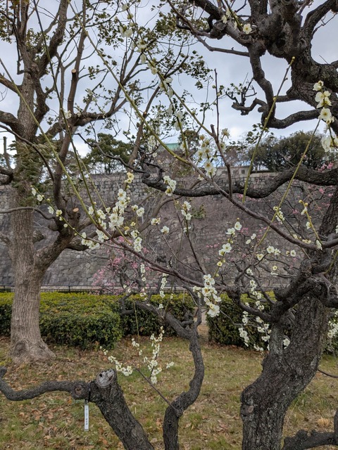 PXL_20250307_040348273