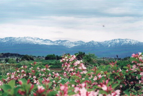 img20240808_14272622