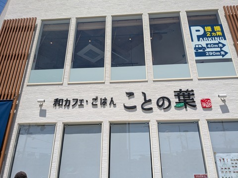 PXL_20260519_013127206.MP