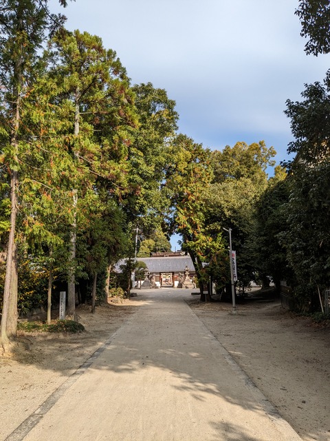 PXL_20231127_003037067