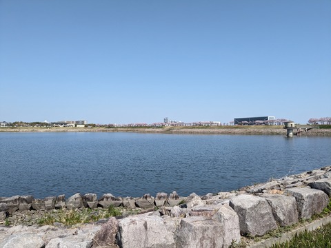 PXL_20240401_010353228