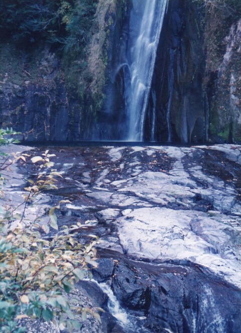 img20231016_14461249