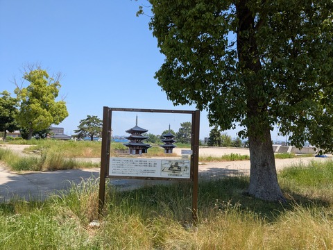 PXL_20260519_015255129