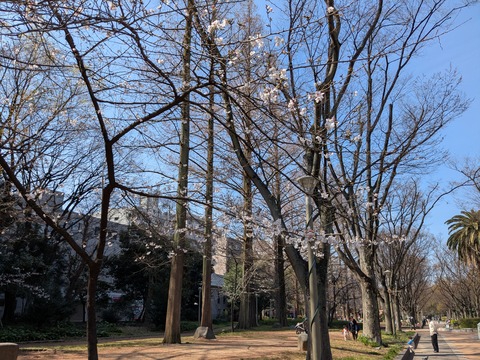 PXL_20260327_011609558