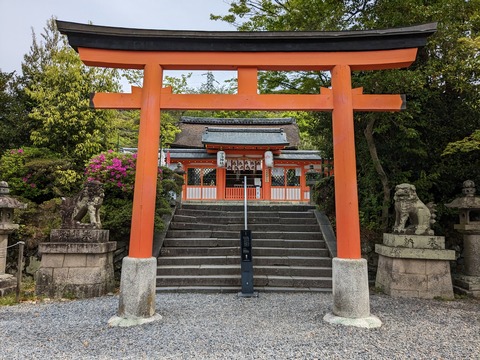 PXL_20230418_021410841