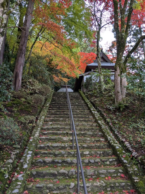 PXL_20241128_005847462