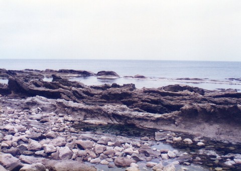 img20230924_14502175