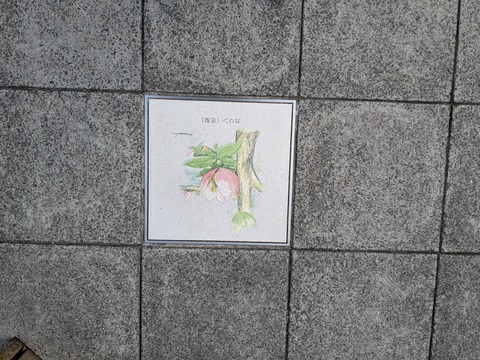 PXL_20260317_012229803