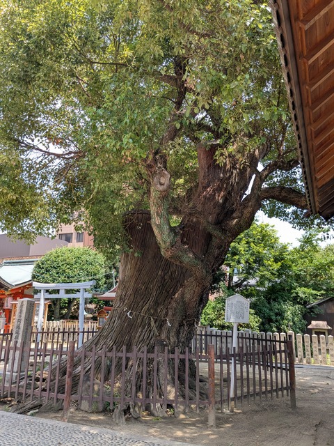 PXL_20250701_013805001