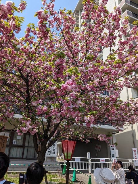 PXL_20230411_033522907