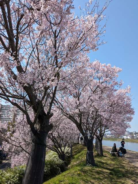 PXL_20240401_005851017