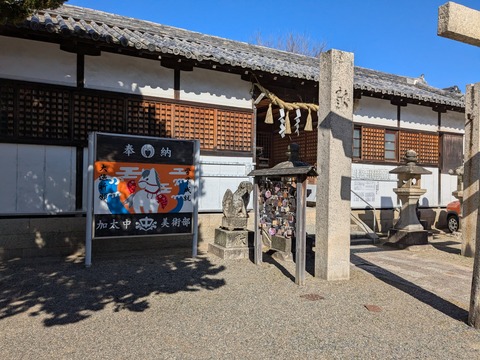 PXL_20250819_043854871