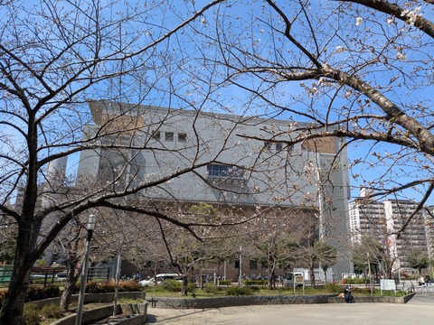 PXL_20260327_025923889.MP