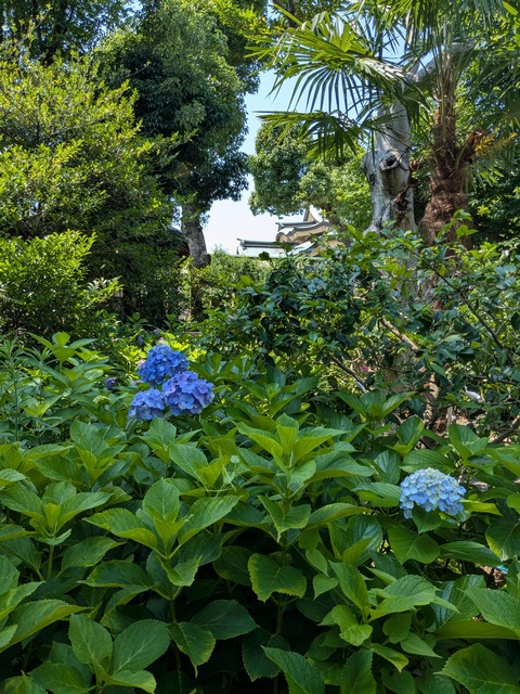 PXL_20250627_011942022