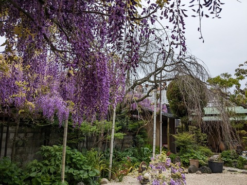 PXL_20240422_014454756