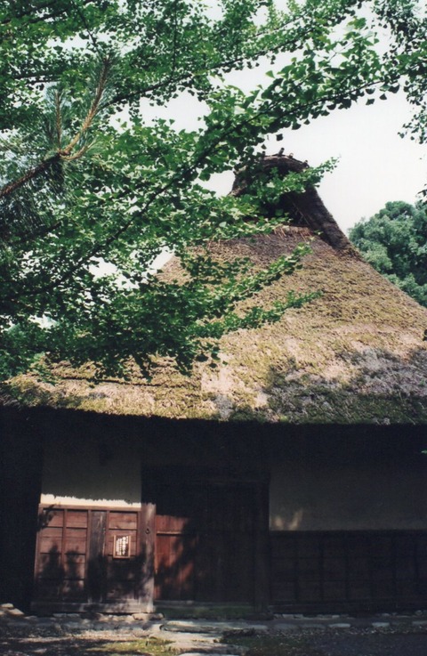 img20240826_17045130