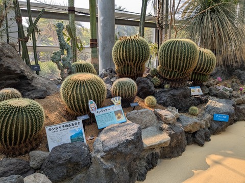 PXL_20250416_050659232.MP