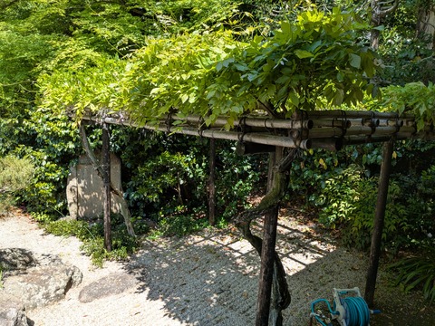PXL_20250429_012300825