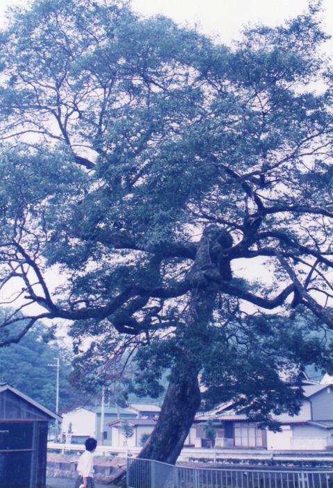 img20230903_14312168