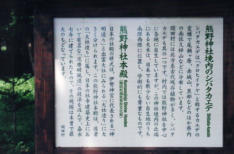 12-1