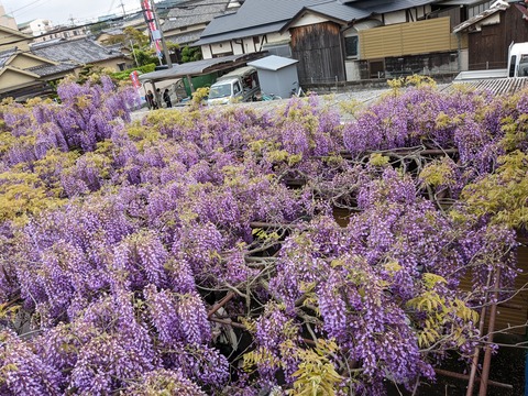 PXL_20240422_013728320