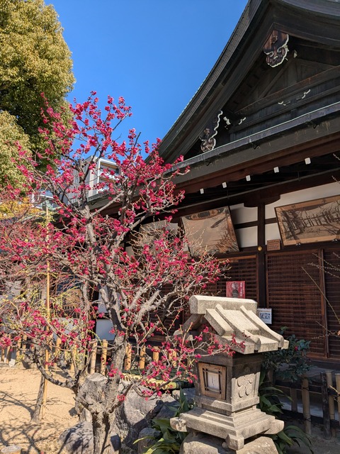 PXL_20250225_033845560