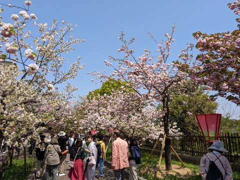 PXL_20230411_032941006