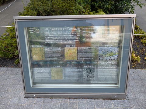 PXL_20250701_050625427.MP