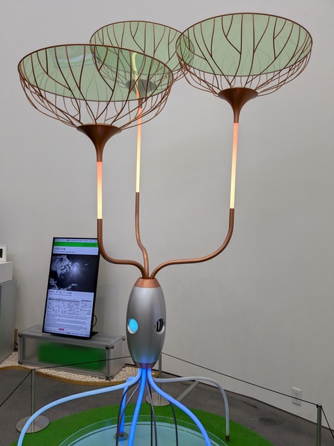 PXL_20251013_041311919